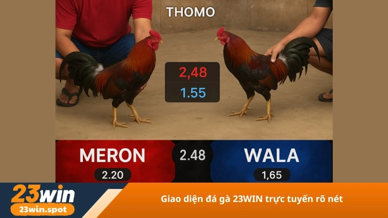 Giao diện đá gà 23WIN trực tuyến rõ nét